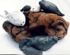 Seals on California driftwood
